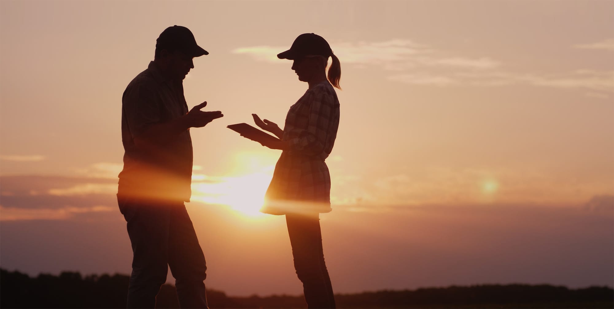 Person standing in field of grain during sunset